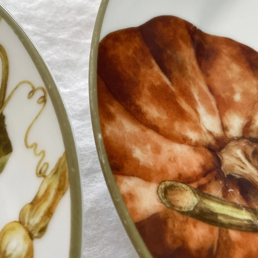 Williams Sonoma Botanical Pumpkin Salad Dessert Plates 8.5” diameter (Set of 4)